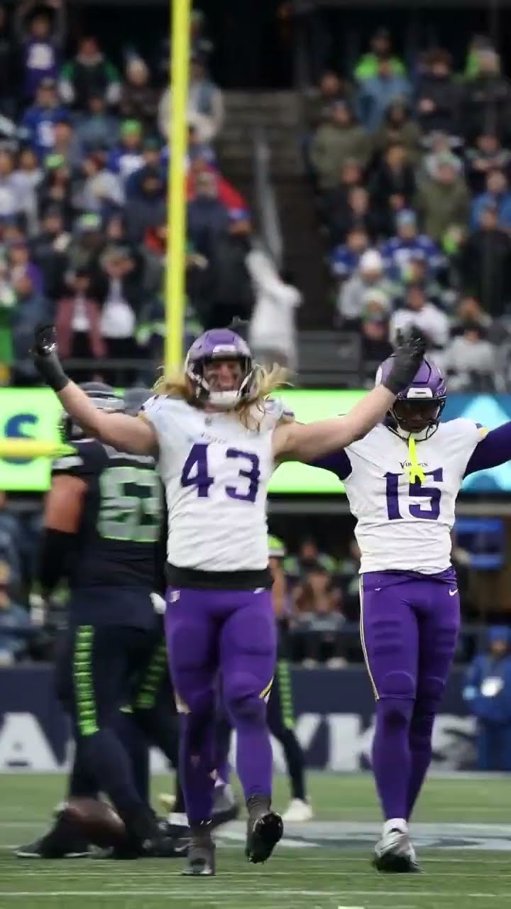 BIG SACK BY ANDREW VAN GINKEL ? | ?: FOX